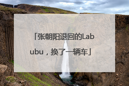 张朝阳退回的Labubu，换了一辆车