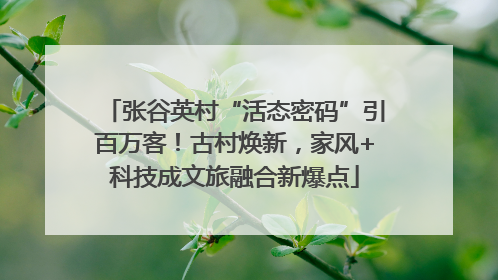 张谷英村“活态密码”引百万客！古村焕新，家风+科技成文旅融合新爆点