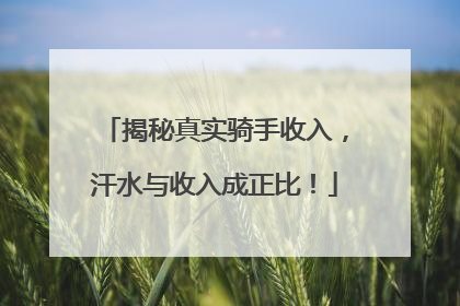 揭秘真实骑手收入，汗水与收入成正比！