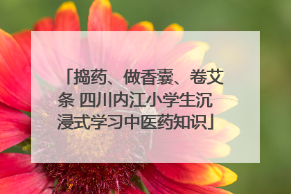 捣药、做香囊、卷艾条 四川内江小学生沉浸式学习中医药知识