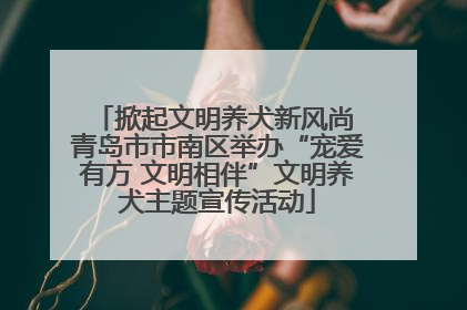 掀起文明养犬新风尚 青岛市市南区举办“宠爱有方 文明相伴”文明养犬主题宣传活动