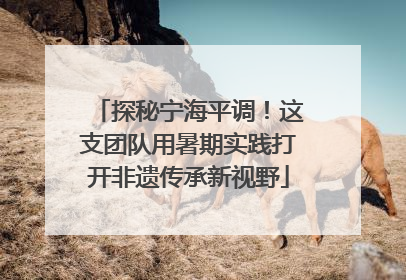 探秘宁海平调！这支团队用暑期实践打开非遗传承新视野