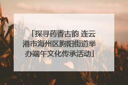 探寻药香古韵 连云港市海州区朐阳街道举办端午文化传承活动