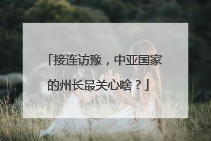 接连访豫，中亚国家的州长最关心啥？