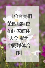 总台亮相第四届阿拉伯国家媒体大会 聚焦中阿媒体合作