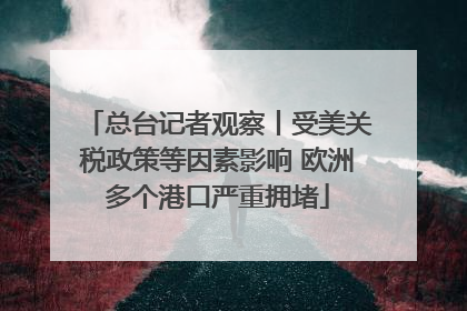 总台记者观察丨受美关税政策等因素影响 欧洲多个港口严重拥堵
