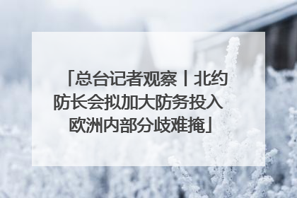 总台记者观察丨北约防长会拟加大防务投入 欧洲内部分歧难掩