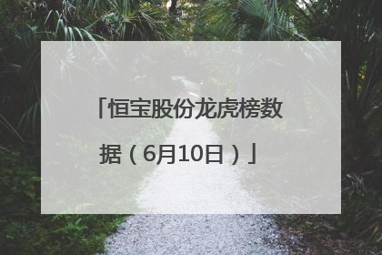 恒宝股份龙虎榜数据（6月10日）