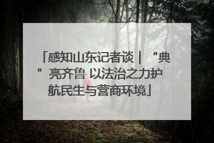 感知山东记者谈｜“典”亮齐鲁 以法治之力护航民生与营商环境