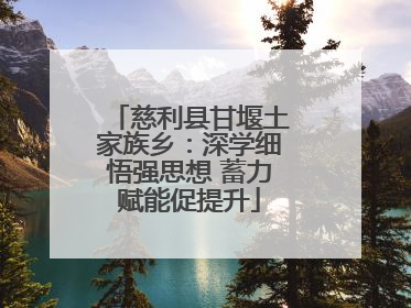 慈利县甘堰土家族乡：深学细悟强思想 蓄力赋能促提升