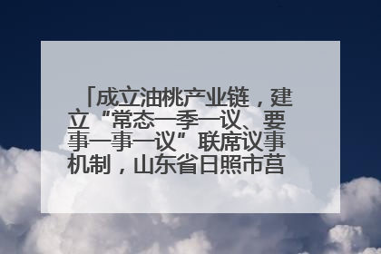 成立油桃产业链，建立“常态一季一议、要事一事一议”联席议事机制，山东省日照市莒县果庄镇——13个党小组“全周期”育果