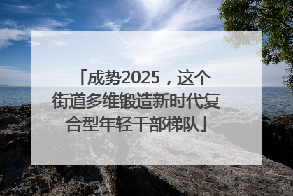 成势2025，这个街道多维锻造新时代复合型年轻干部梯队