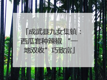 成武县九女集镇：西瓜套种辣椒 “一地双收”巧致富
