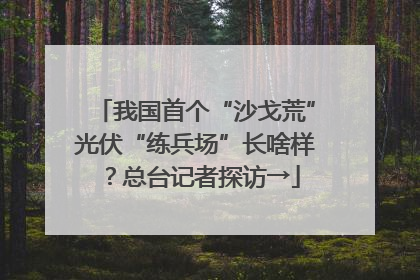 我国首个“沙戈荒”光伏“练兵场”长啥样？总台记者探访→
