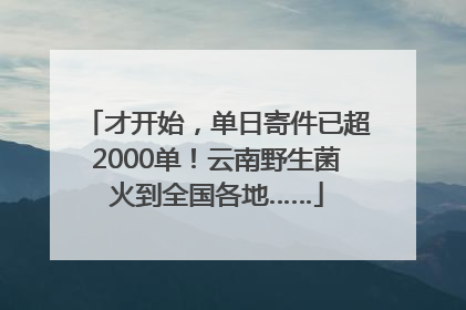才开始，单日寄件已超2000单！云南野生菌火到全国各地……