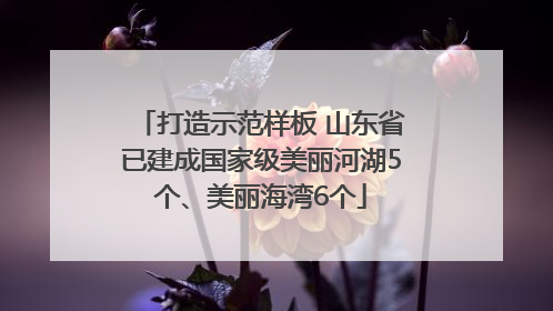打造示范样板 山东省已建成国家级美丽河湖5个、美丽海湾6个