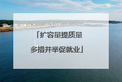 扩容量提质量 多措并举促就业