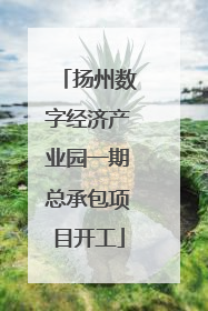 扬州数字经济产业园一期总承包项目开工