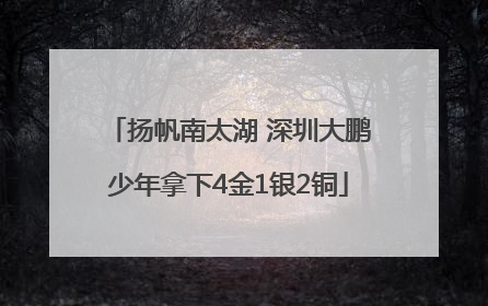 扬帆南太湖 深圳大鹏少年拿下4金1银2铜