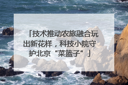 技术推动农旅融合玩出新花样，科技小院守护北京“菜篮子”