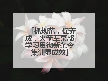 抓规范，促养成，火箭军某部学习贯彻新条令集训显成效