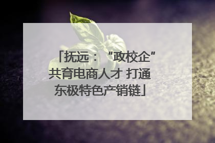 抚远：“政校企”共育电商人才 打通东极特色产销链