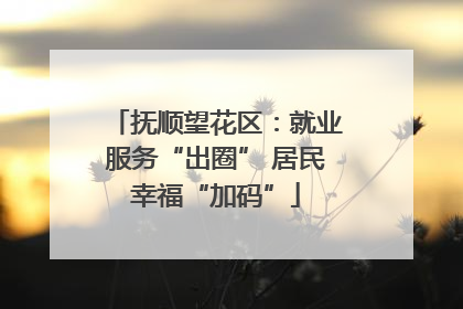 抚顺望花区：就业服务“出圈” 居民幸福“加码”