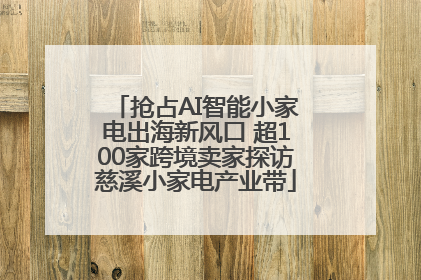 抢占AI智能小家电出海新风口 超100家跨境卖家探访慈溪小家电产业带