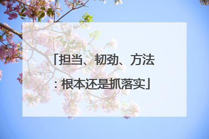 担当、韧劲、方法：根本还是抓落实