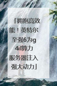 拥抱高效能！英特尔至强6为g4il算力服务器注入强大动力