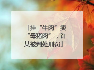 挂“牛肉”卖“母猪肉”，许某被判处刑罚