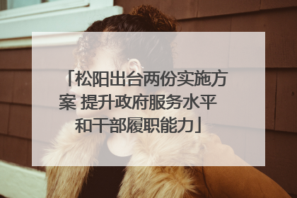 松阳出台两份实施方案 提升政府服务水平和干部履职能力