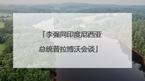 李强同印度尼西亚总统普拉博沃会谈