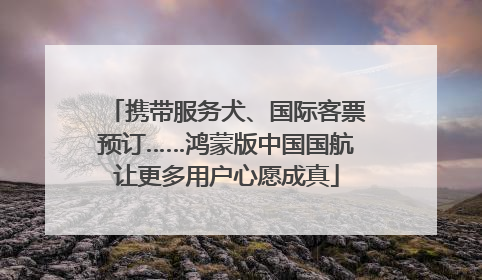 携带服务犬、国际客票预订……鸿蒙版中国国航让更多用户心愿成真