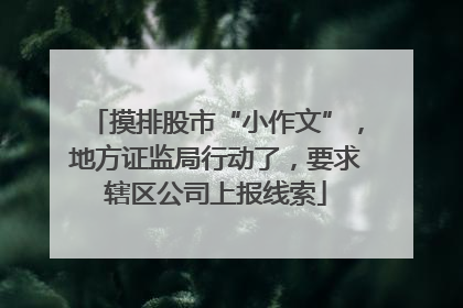 摸排股市“小作文”，地方证监局行动了，要求辖区公司上报线索
