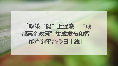 政策“码”上通晓！“成都惠企政策”集成发布和智能查询平台今日上线