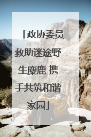 政协委员救助迷途野生麋鹿 携手共筑和谐家园