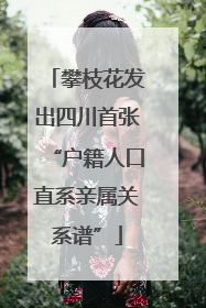 攀枝花发出四川首张“户籍人口直系亲属关系谱”
