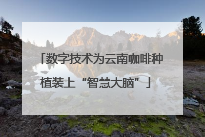 数字技术为云南咖啡种植装上“智慧大脑”