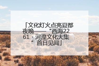 文化灯火点亮夏都夜晚——“西海2261・河湟文化大集”首日见闻