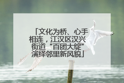 文化为桥、心手相连，江汉区汉兴街道“百团大绽”演绎邻里新风貌