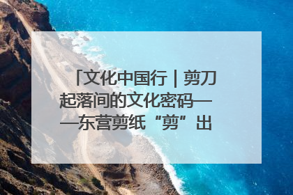 文化中国行｜剪刀起落间的文化密码——东营剪纸“剪”出非遗传承与现代生活的融合之道