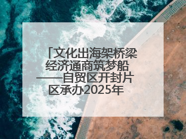 文化出海架桥梁 经济通商筑梦船——自贸区开封片区承办2025年匈牙利文旅交流对接活动专场
