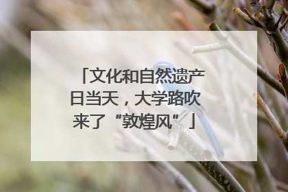 文化和自然遗产日当天，大学路吹来了“敦煌风”