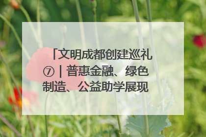 文明成都创建巡礼⑦｜普惠金融、绿色制造、公益助学展现城市文明底色