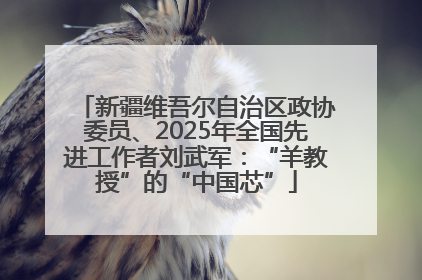 新疆维吾尔自治区政协委员、2025年全国先进工作者刘武军：“羊教授”的“中国芯”