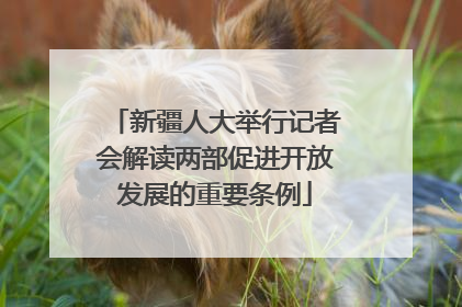 新疆人大举行记者会解读两部促进开放发展的重要条例