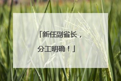 新任副省长，分工明确！