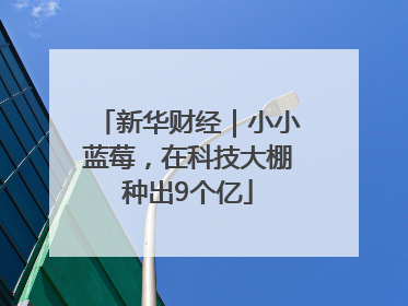 新华财经｜小小蓝莓，在科技大棚种出9个亿