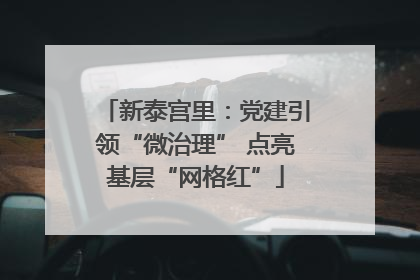 新泰宫里：党建引领“微治理” 点亮基层“网格红”